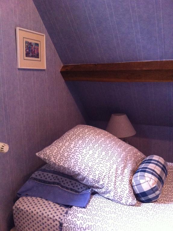 Les Vieux Guays Bed and Breakfast Cerdon  Exteriör bild