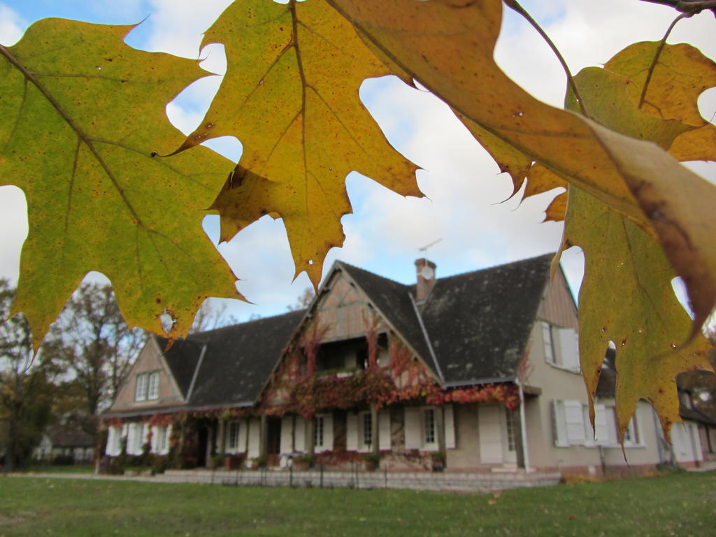 Les Vieux Guays Bed and Breakfast Cerdon  Exteriör bild